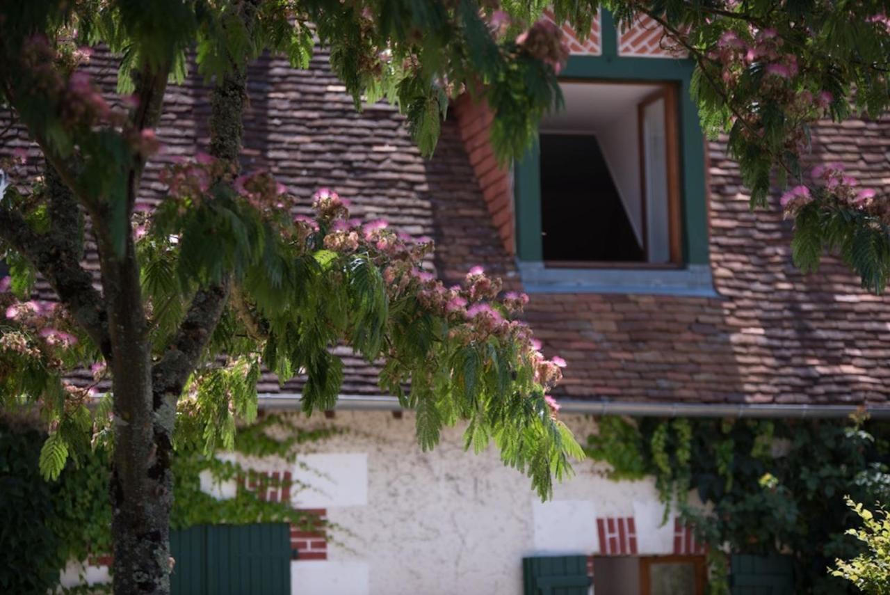 La Demalerie Bed and Breakfast Cheverny Εξωτερικό φωτογραφία